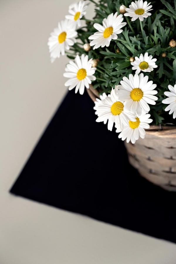 Apartamento Casa Primavera *